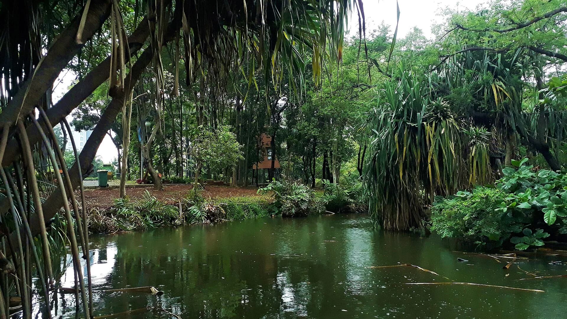 Kawasan Faunaland Ancol